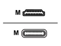 Crestron FT2A-CBL-PT Series - Adapterkabel - USB-C hane till HDMI hane - 2.4 m - stöd för 4K - för P/N: FT2-202-ELEC-PTL-B, FT2-500-ELEC-PTL-B FT2A-CBL-PT-4K-USBC-HD