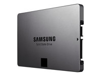 Samsung 840 EVO MZ-7TE1T0 - SSD - 1 TB - inbyggd - 2.5" - SATA 6Gb/s - buffert: 1 GB MZ-7TE1T0BW