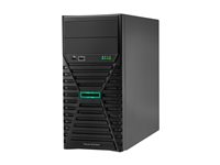 HPE ProLiant ML30 Gen11 - tower Xeon E-2434 3.4 GHz - 32 GB - SSD 2 x 960 GB P77232-425