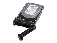 Dell - Hårddisk - 1 TB - hot-swap - 3.5" - SATA 6Gb/s - 7200 rpm - för PowerEdge C6420 (3.5") 400-ATJJ